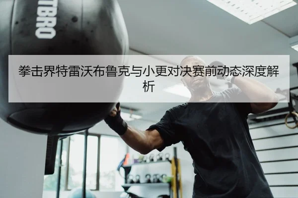 拳击界特雷沃布鲁克与小更对决赛前动态深度解析